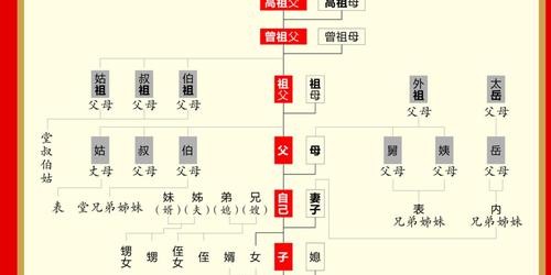 传承与荣耀，家族的历史与成就