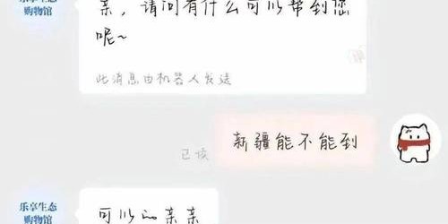 完美国际SF客服聊天全面指南