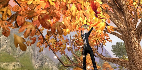 完美世界私服架设全攻略，从零开始搭建私人服务器