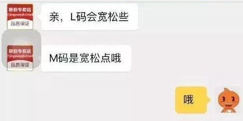 完美国际SF客服聊天全面指南