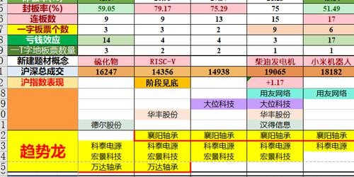 揭秘鼎盛完美国际私服一条龙服务的秘密