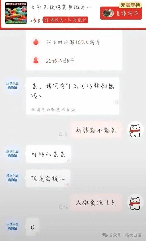 完美国际SF客服聊天指南