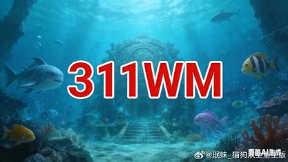完美国际sf多开技巧大揭秘